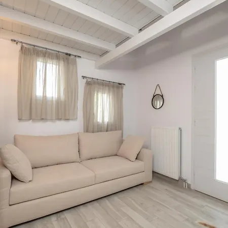 Naxian Wave Seaside Villa Mikri Vigla Exterior photo