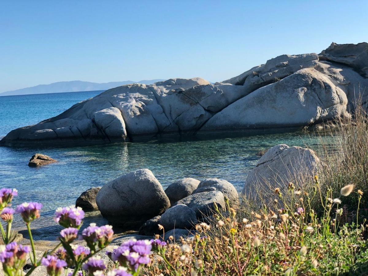 Naxian Wave Seaside Mikri Vigla